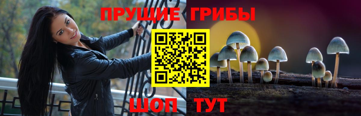 Псилоцибиновые грибы мицелий  Вход с VPN  Мыски 